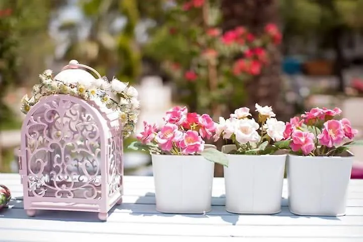 Kiraz Cicegi Butik Otel Akyaka 0*, Akyaka (Mugla)